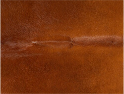 Cowhide