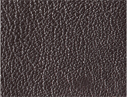 Goatskin