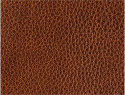 Leather
