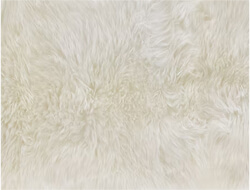 Sheepskin